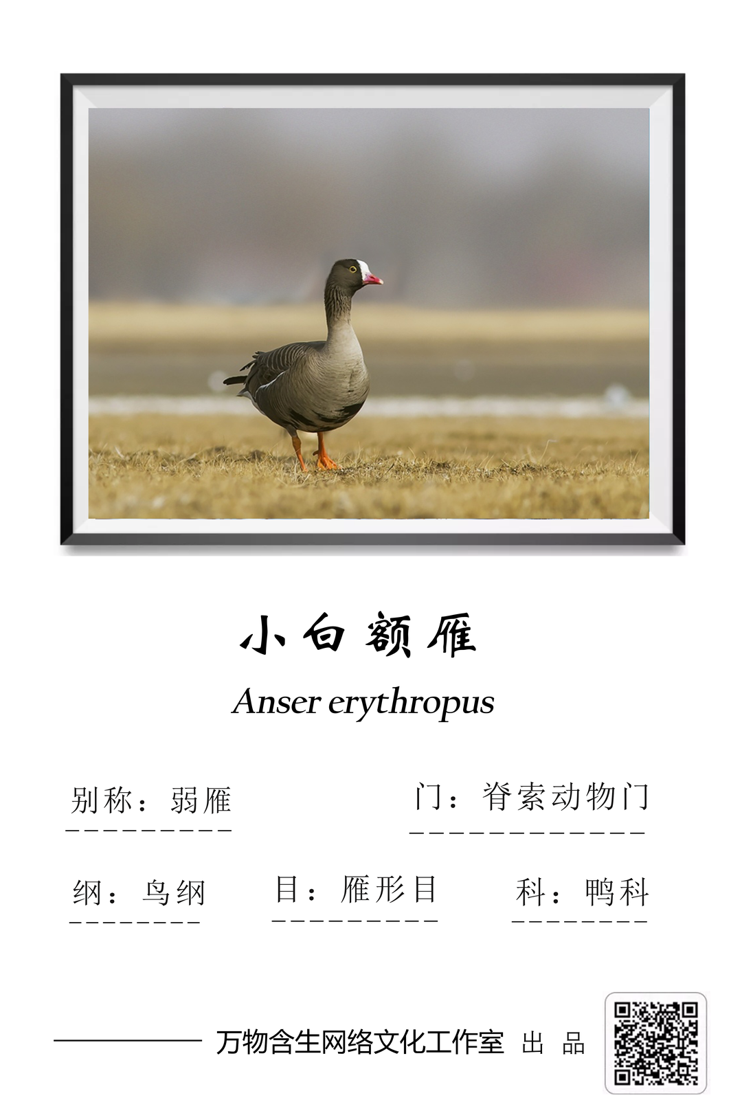 622bfb34dcb655c81f2bf1a78904d06.png B54D8